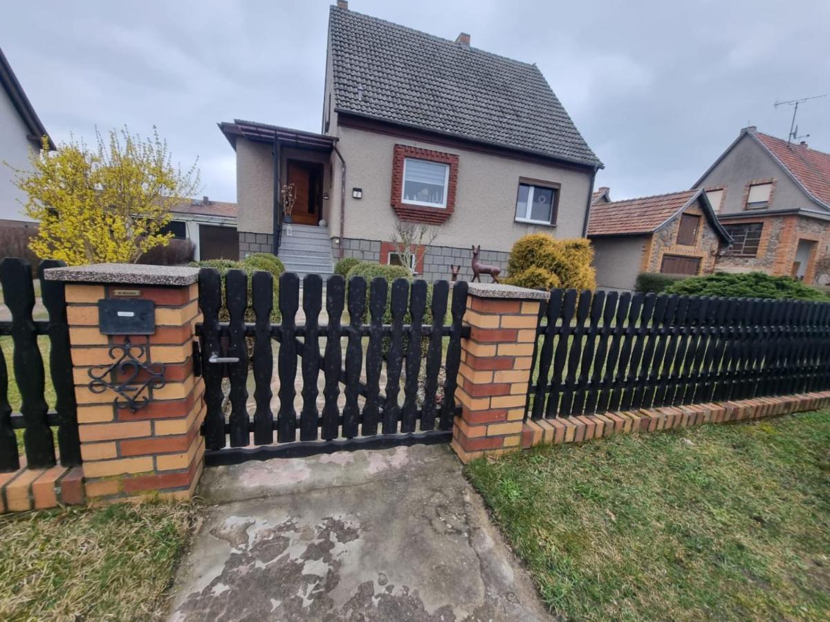 Ferienhaus Pusteblume Lübben Dış mekan fotoğraf